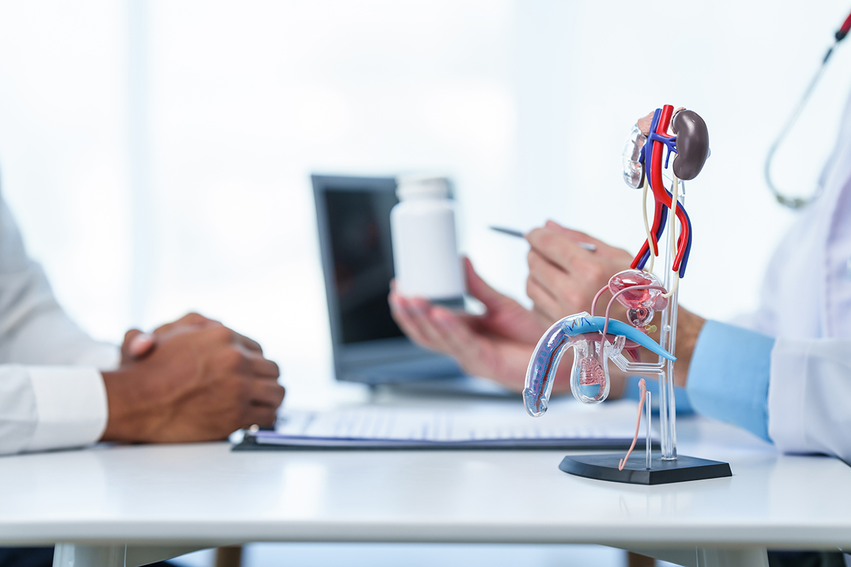 Modele anatomiczne jako najważniejsze narzędzie w edukacji medycznej i opiece klinicznej.