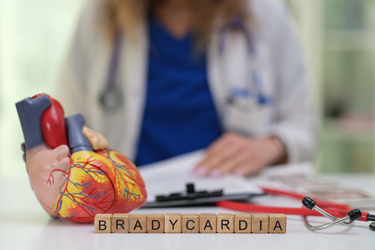 Modele anatomiczne w nowoczesnych form kształcenia oraz praktyce medycznej